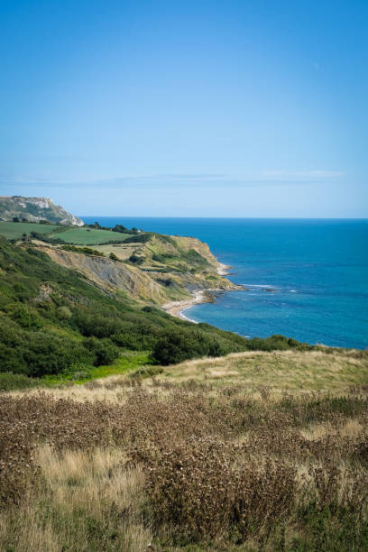 istock Coastline of Osmington Mills, Dorset 1206678843