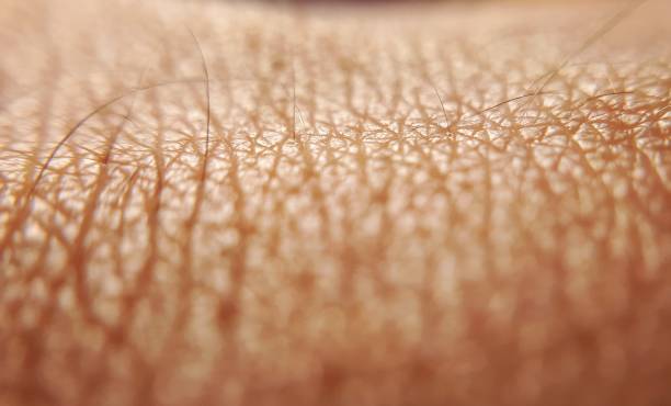 istock Human skin close up background 1206680939