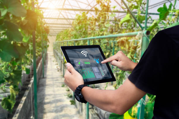 Smart farming argriculture concept .Man hands holding tablet on blurred organic farm as background humidity photos stock pictures, royalty-free photos & images
