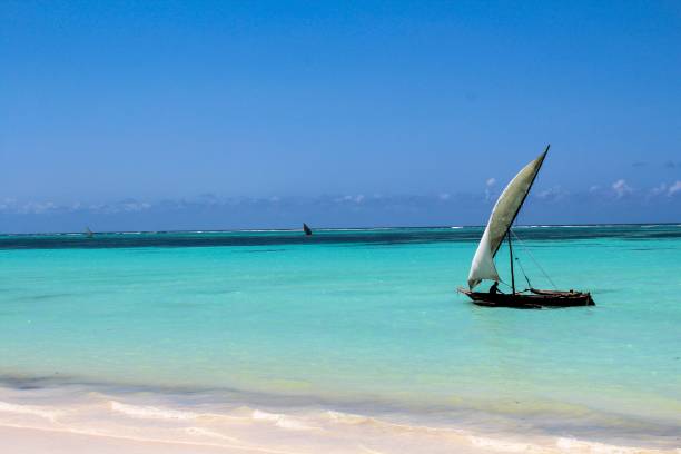 istock Zanzibar, Tanzania 1206681398