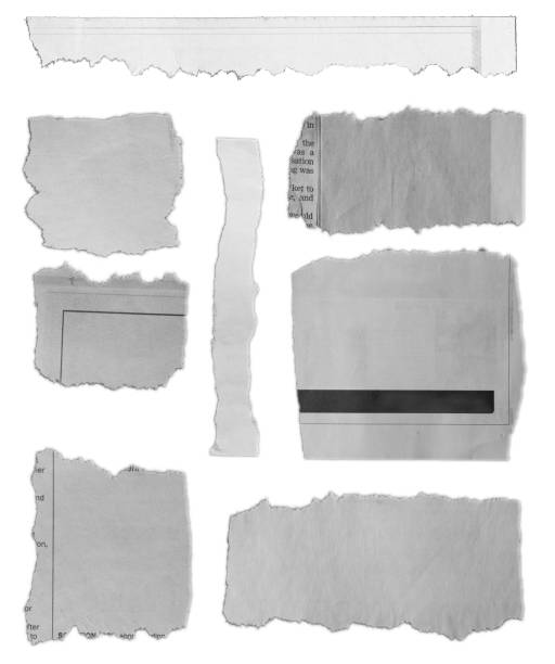 istock Torn pieces of paper 1206687753