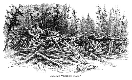 Heaps of logs in logging country in Canada. From “Sunday at Home - A Family Magazine for Sabbath reading, 1883”, published by the Religious Tract Society, London.