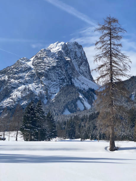 istock Winter mountains landscape with groomed ski track and dramatic sky, Leutasch, Austria. 1206695872