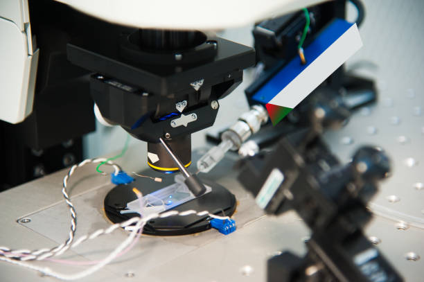 istock Interior of modern research laboratory 1206697135
