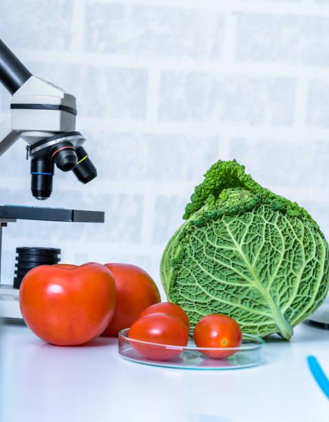 istock Genetic breeding of vegetables in lLaboratory , analyzing food quality, 1206699162