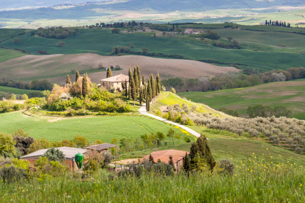 istock Farm in Tuscany, Italy. 1206702063