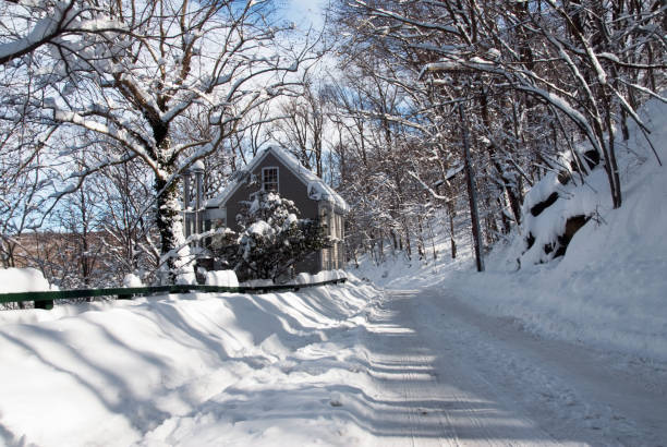 Coldly White Landscape in Ellicott City Maryland USA The coldly white fresh powder snow covered everything n Ellicott City MD after a winter blizzard. The roads like this one were impassable. ellicott city maryland stock pictures, royalty-free photos & images