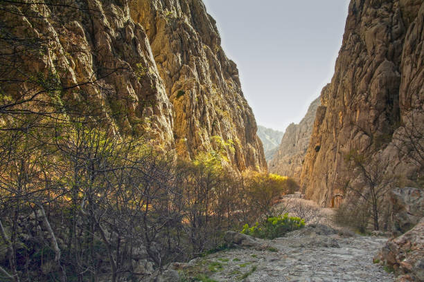 Abstract from Paklenica.  The Paklenica karst river canyon is a national park in Croatia, Unesco World Heritage site. It is a hiker’s paradise, combining limestone gorges, caves, dense pine forest and meadows.