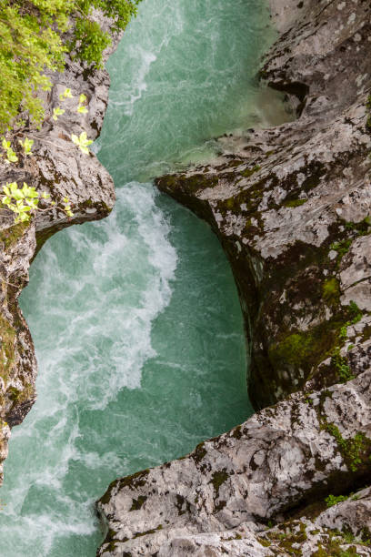 istock Velika Korita on river Soce - Slovenia. 1206705838
