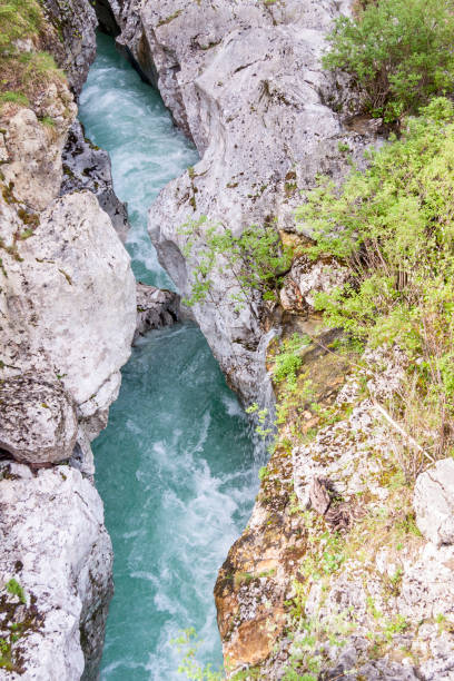 istock Velika Korita on river Soce - Slovenia. 1206706910