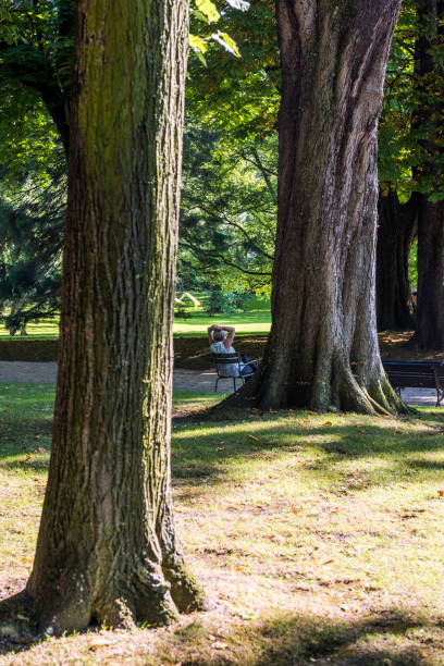 istock Tranquility in the Luxembourg Gardens, Paris 1206708219