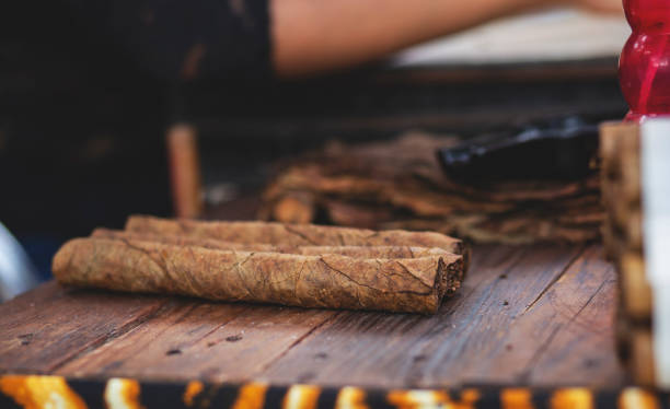 istock Beautiful woman making cigars. 1206709076