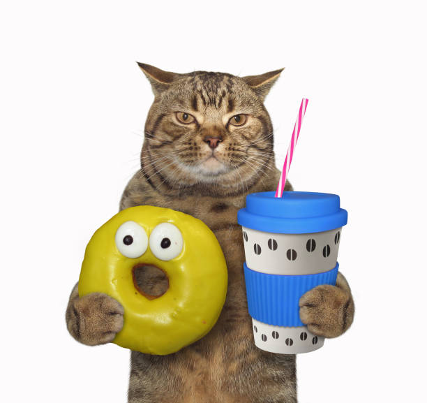 istock Cat with blue cup of coffee 1206710773