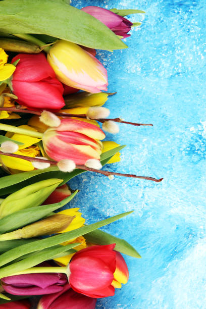 istock blooming daffodils and easter tulips for spring decoration 1206711188