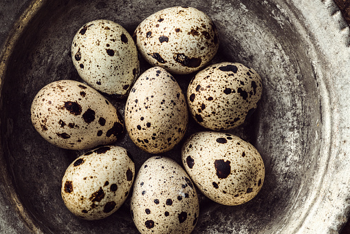 Quail eggs in a metal bowl