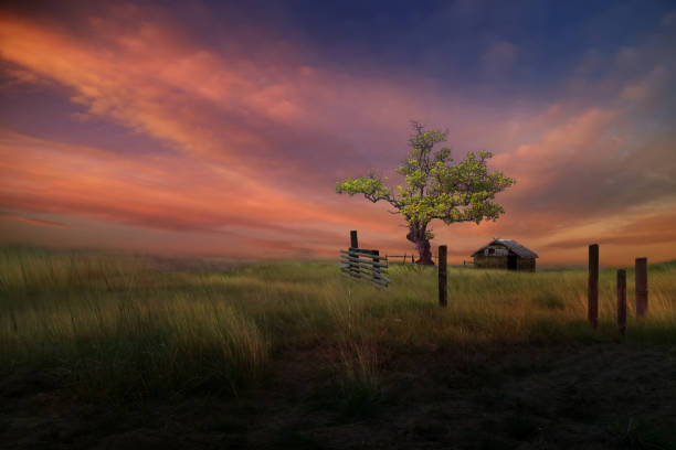 Art of landscape