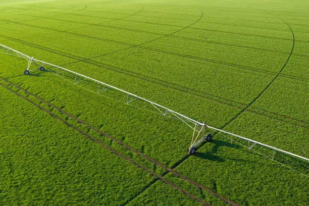 Aerial view of center-pivot irrigation sprinkler in young green wheat field, drone photography