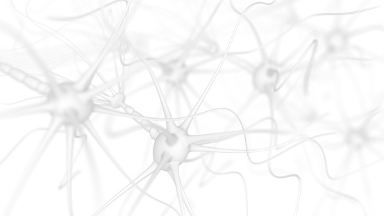 Neuron cells - 3d rendered image of Neuron cell network on white background.  Conceptual medical image.  Healthcare concept.