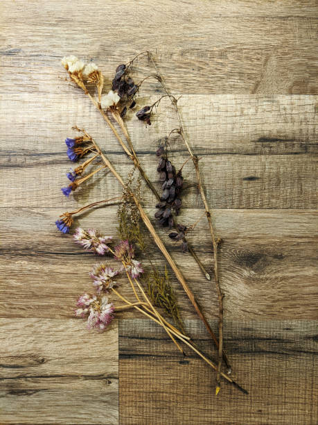 istock Dried flowers bouquet on wooden table 1206715949