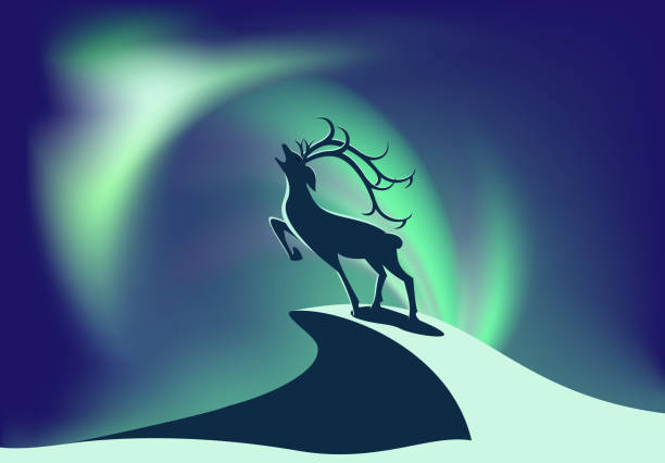 Northern Lights 02 vector art illustration