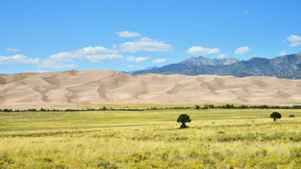 istock Great Sand Dunes National Park 1206717585