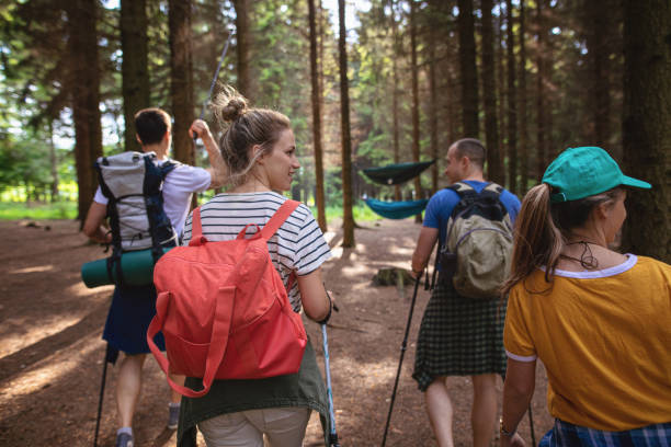 istock Joyful group of hikers climbing a mountain 1206720799