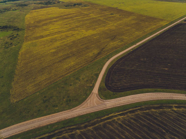 istock A country road at sunset in the wheat fields. 1206721820