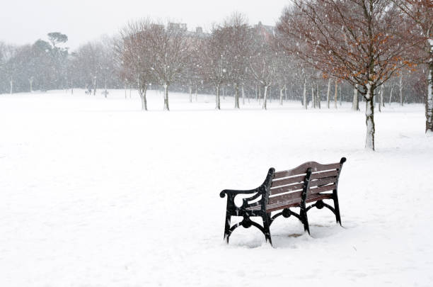 istock Empty park seat in snow covered park. 1206725368