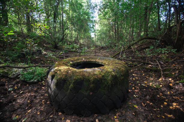 istock Big tire with moss in forest at nature 1206728325