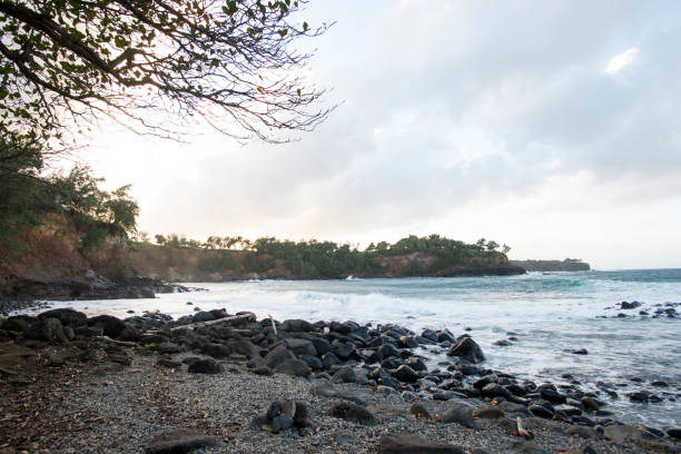 istock Waves of the Ocean 1206730889