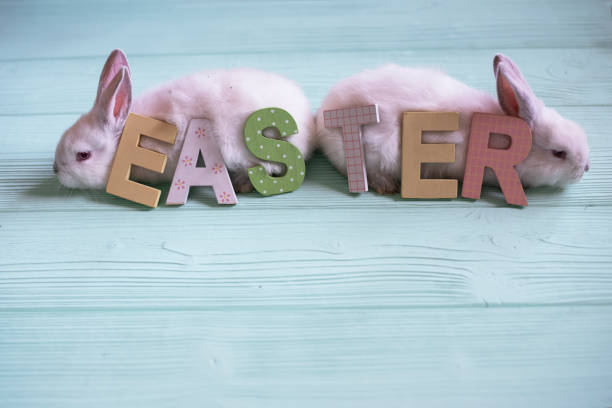 istock White Bunnies And Easter Text On Blue Wooden Table At Home. 1206731320