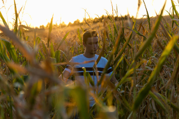 istock A young farmer inspects corn plantations 1206732626