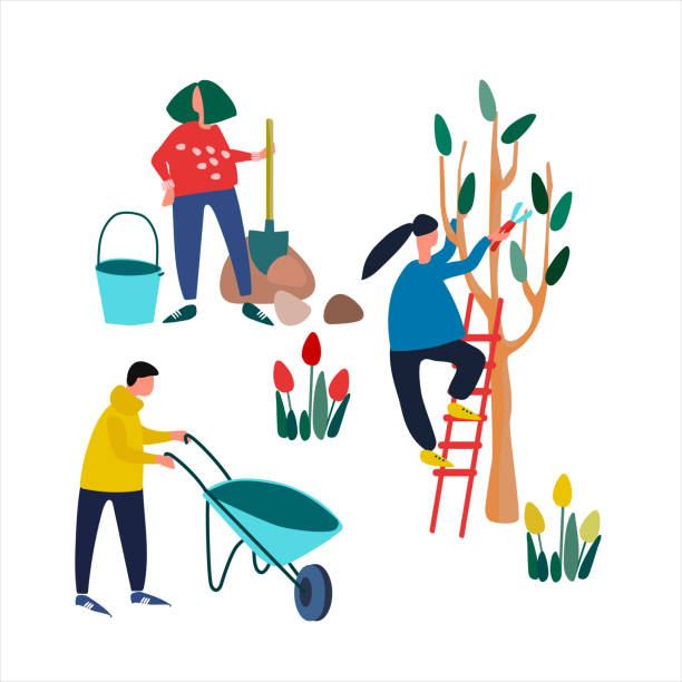 People doing spring gardening works. Set of vector illustrations in flat style People doing spring gardening works. Pruning trees, planting seedling, clearing. Set of vector illustrations in flat style branch trimmers stock illustrations