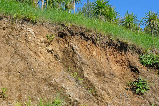 istock landslide caused by torrential rains. Slide soil erosion 1206732984