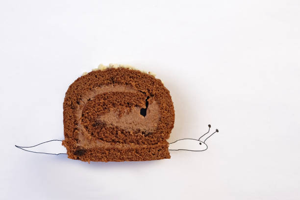A slice of chocolate rolled cake on a white background. Stylized pen painted snail. The concept of weight gain with the help of desserts and the difficulty of movement with excess weight.