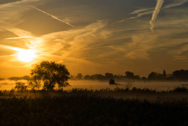 amanecer sobre el río merwede - alblasserwaard fotografías e imágenes de stock