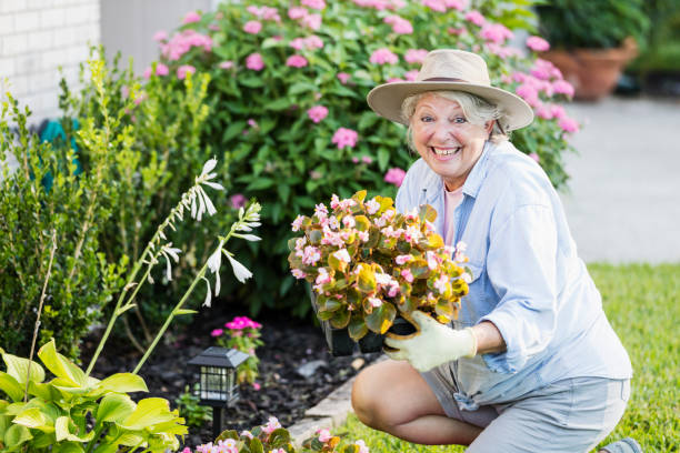 istock Senior woman gardening 1206736389