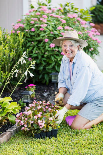 istock Senior woman gardening 1206736414