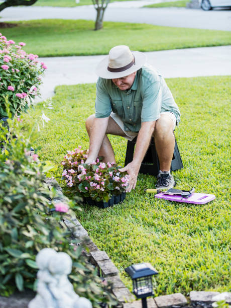 istock Senior man gardening 1206736983
