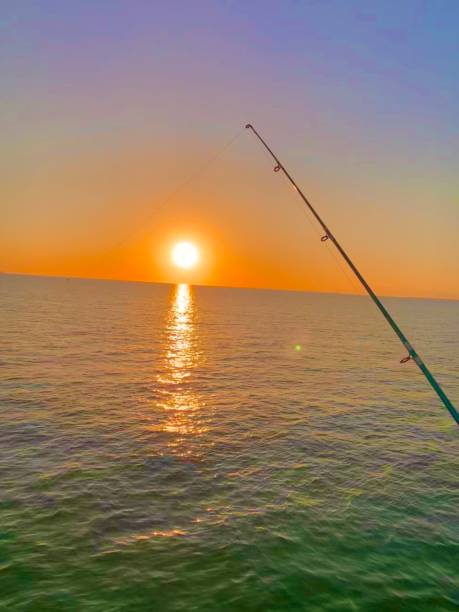istock Sunset with fishing poll 1206737052
