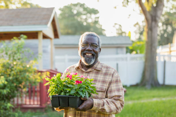 senior afroamericano hombre jardinería - planting clothing gray hair human age fotografías e imágenes de stock