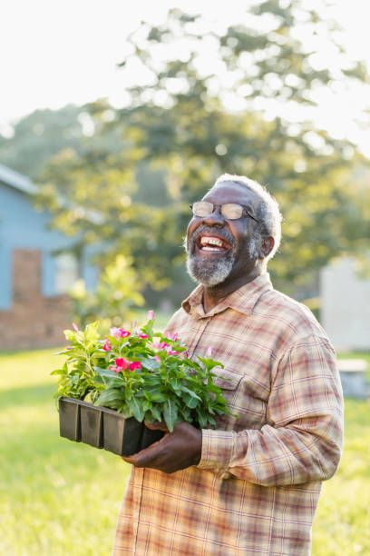 senior afroamericano hombre jardinería - planting clothing gray hair human age fotografías e imágenes de stock