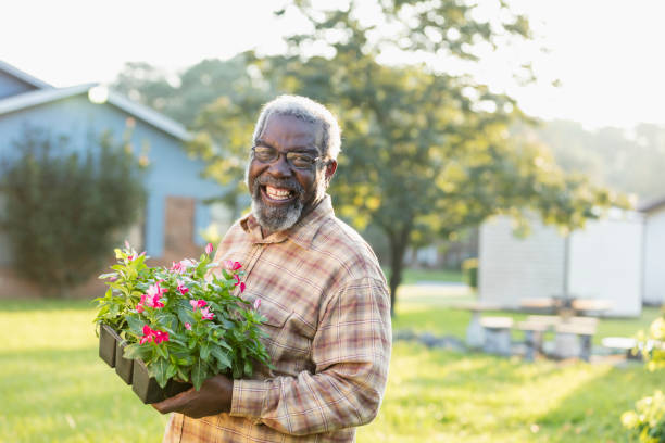 senior afro-americano uomo giardinaggio - planting clothing gray hair human age foto e immagini stock