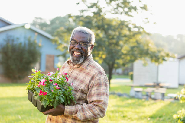 istock Senior African-American man gardening 1206739882