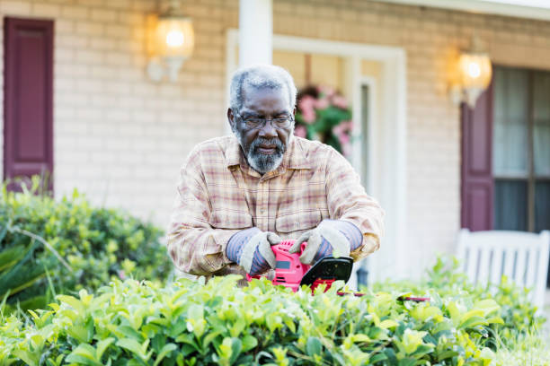 Senior man doing yardwork A senior African-American man in his 70s doing yardwork. He is in his front yard trimming the hedges. man beard plaid shirt stock pictures, royalty-free photos & images