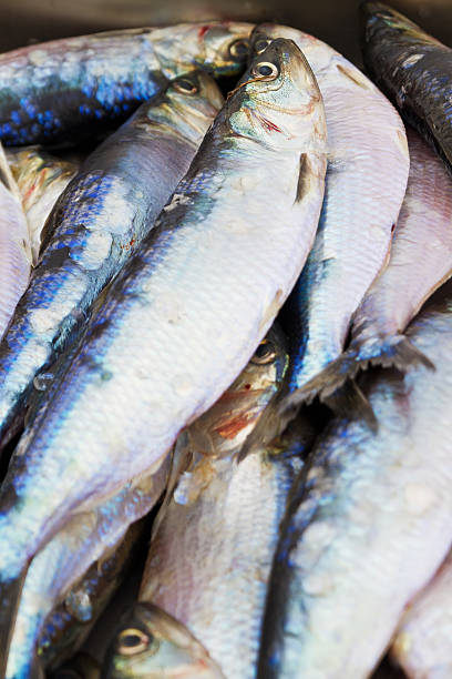 istock Fresh seafood market 120674178