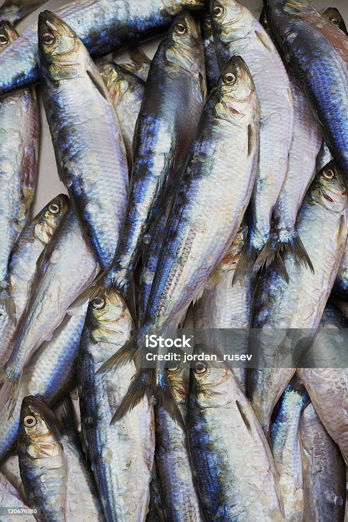 Mercato del pesce fresco - Foto stock royalty-free di Ambientazione esterna