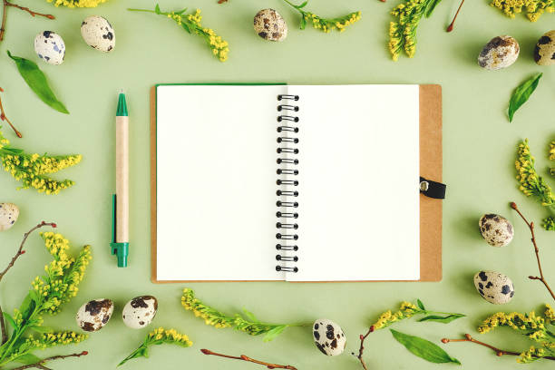 istock Spring easter floral frame and notebook. Natural tree branches, yellow flowers, quail eggs, open blank notepad on green background. Mockup Creative Flat lay Top view 1206741894