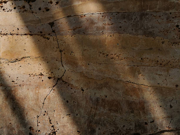 istock Texture of the plastered wall surface use for background and wallpaper 1206748047
