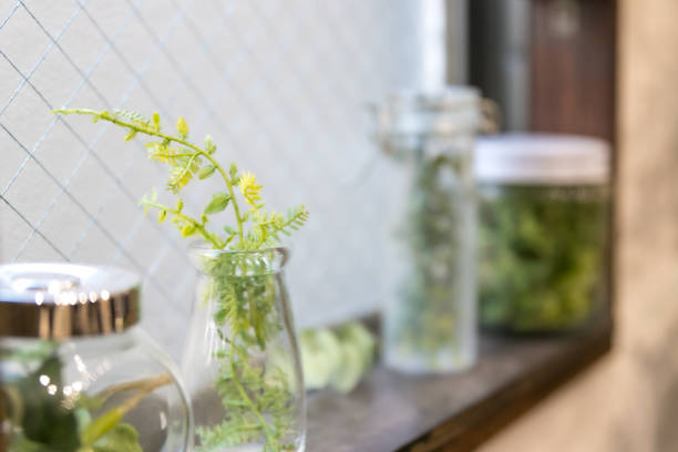 istock Windowsill interior plant, Tokyo, Japan 1206748070